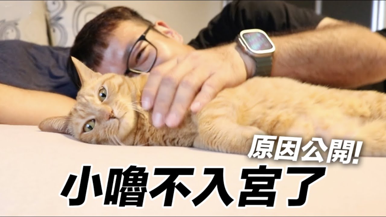 【黃阿瑪的後宮生活】小嚕不入宮了！原因公開！