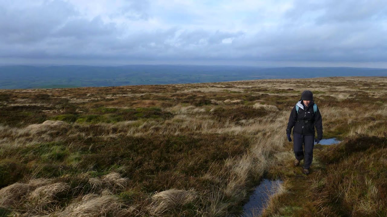 201111 Radnor Forest