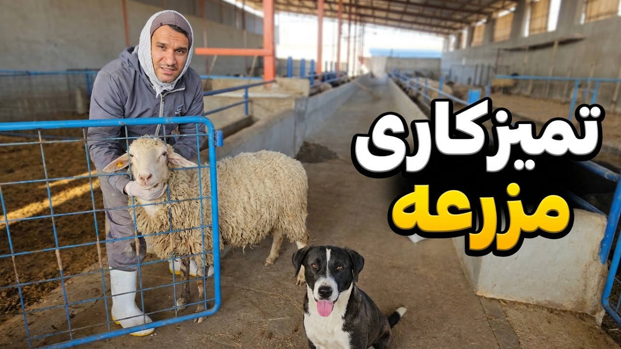 زندگی در روستا این قسمت تمیزکاری دامداری #animals #آموزش