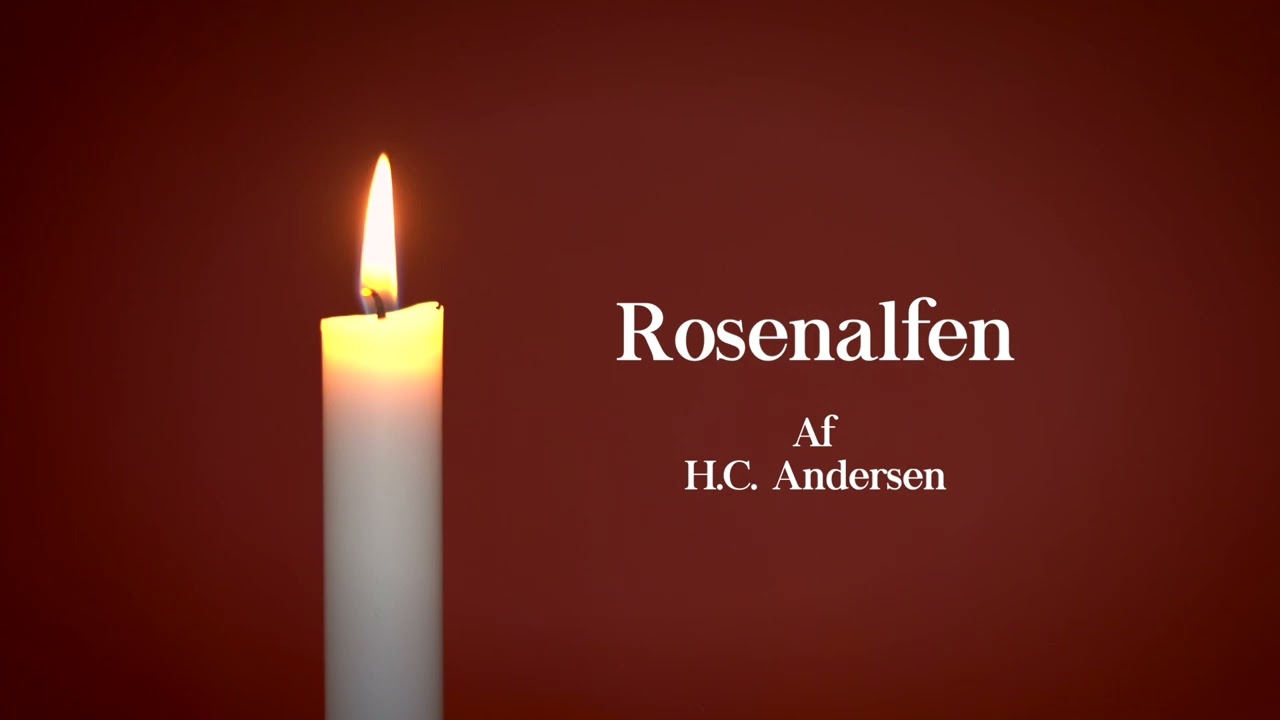 Rosenalfen af H.C. Andersen (Lydbog) - Riise Fortæller