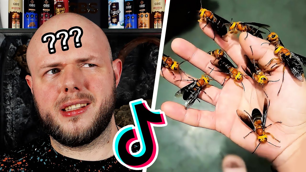 Moja reakcja na filmy OD WIDZÓW!