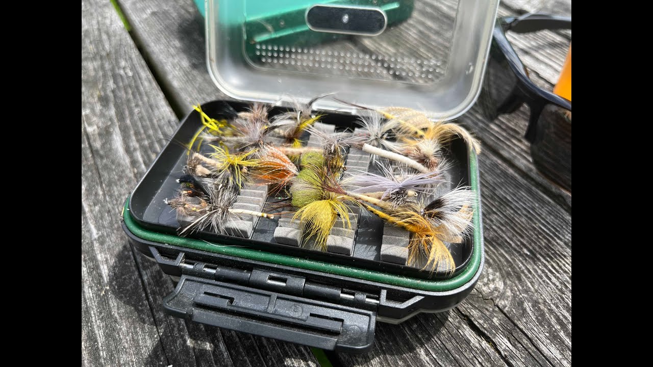 River Test Fishing 2022