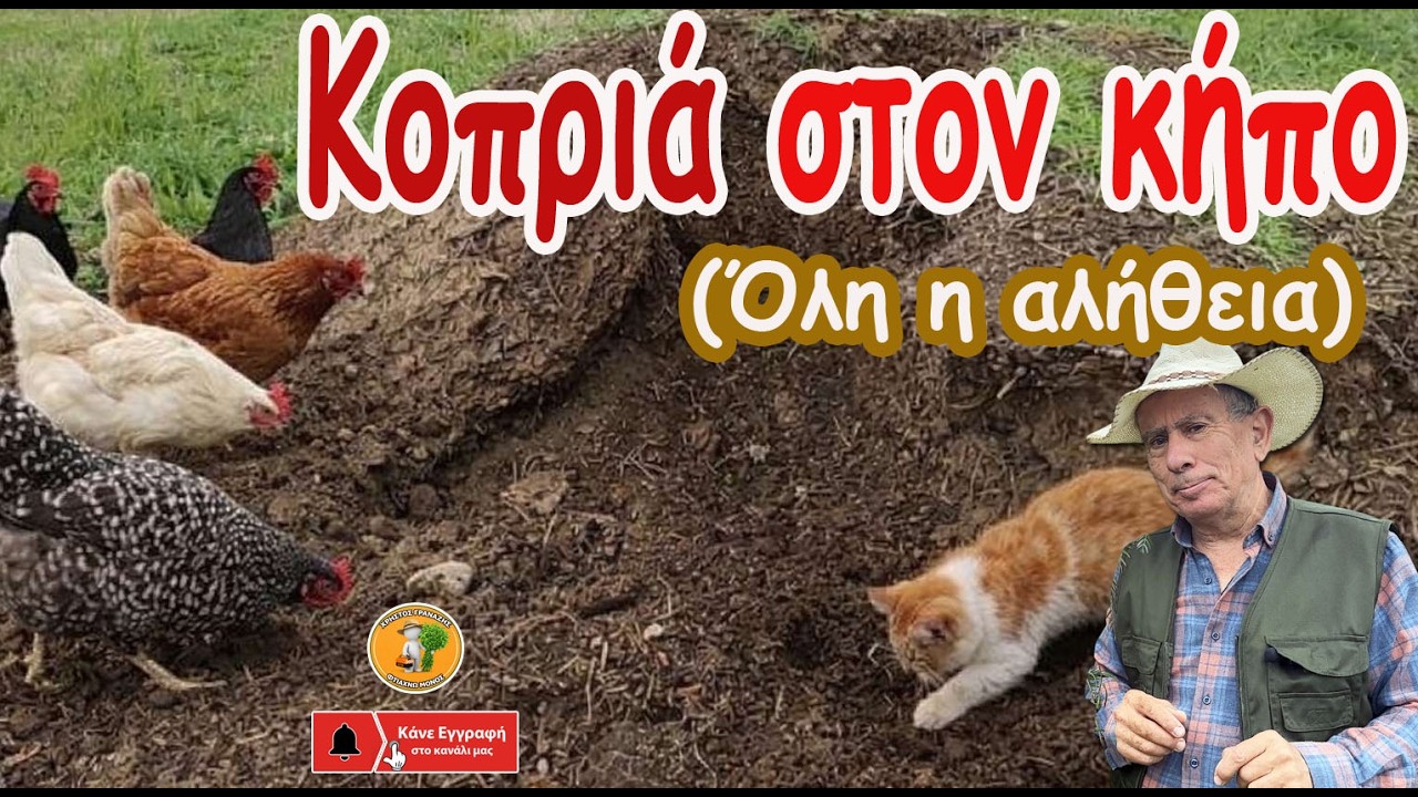 Κοπριά στον κήπο: Πότε και πώς τη χρησιμοποιούμε σωστά