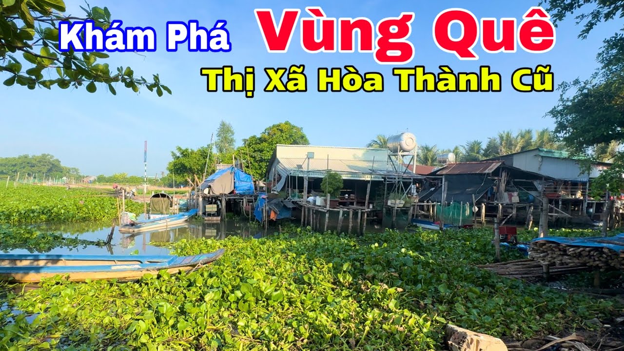 Khám Phá Vùng Quê Thị Xã Hòa Thành Cũ Của Tỉnh Tây Ninh, Chuẩn Bị Vô Vụ Lúa Đông Xuân 