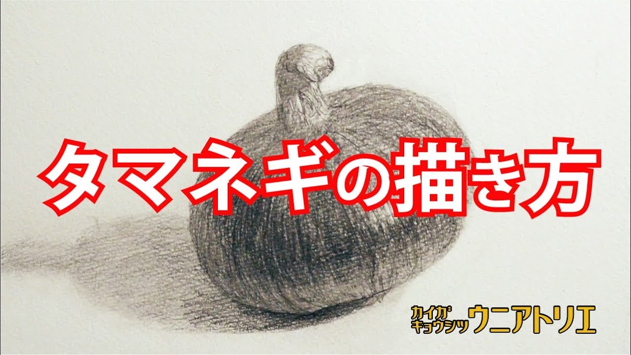 デッサン初心者へ【赤タマネギの描き方】新潟の絵画教室実技編