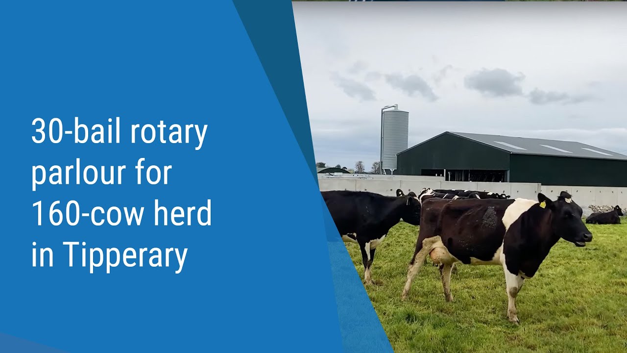 Buildings Focus: 30-bail rotary parlour for 160-cow herd in Tipperary.