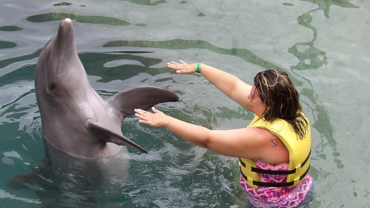 Swimming With Dolphins Cozumel Mexico | DOLPHINARIS