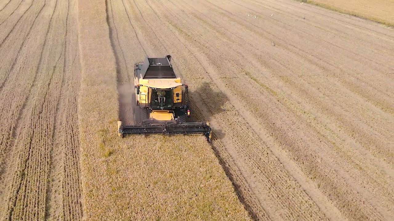 Grandiosa CR8.80 Demo!!!