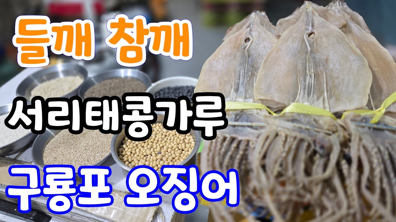 들깨 참깨 서리태콩가루!구룡포 국내산 오징어