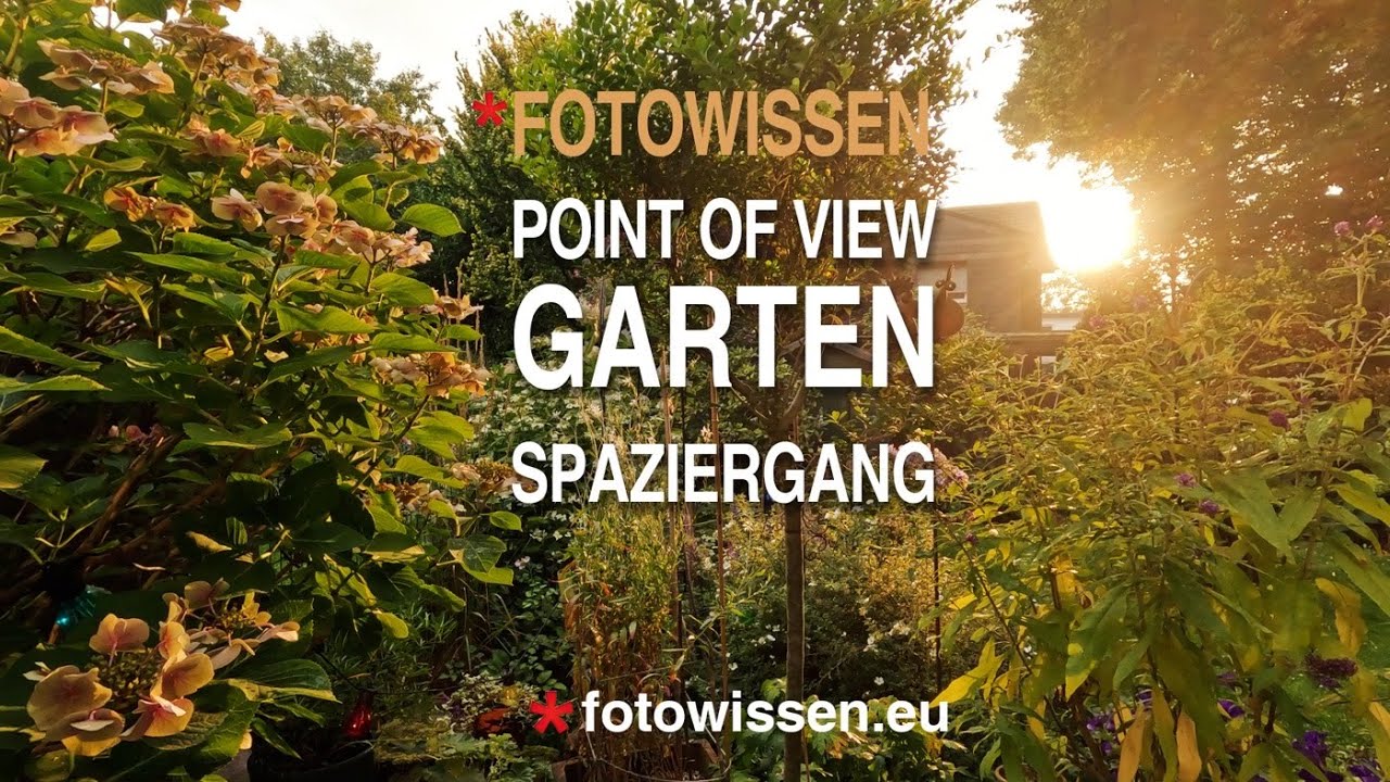 Mein Geheimtipp f&uuml;r bessere Gartenbilder! POV Fotografie im Garten &ndash; Mit der Kamera auf Motivsuche