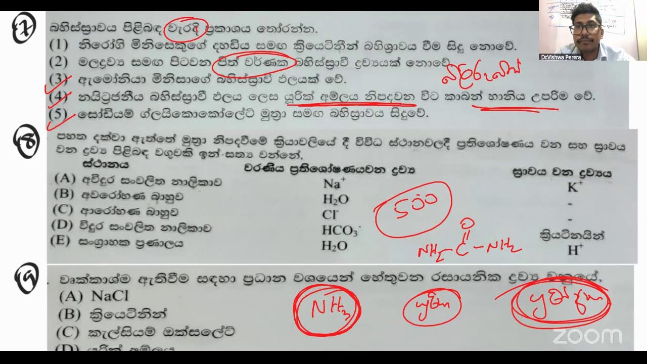 Paper 10 Discussion part 01 | Vishwa Perera Biology