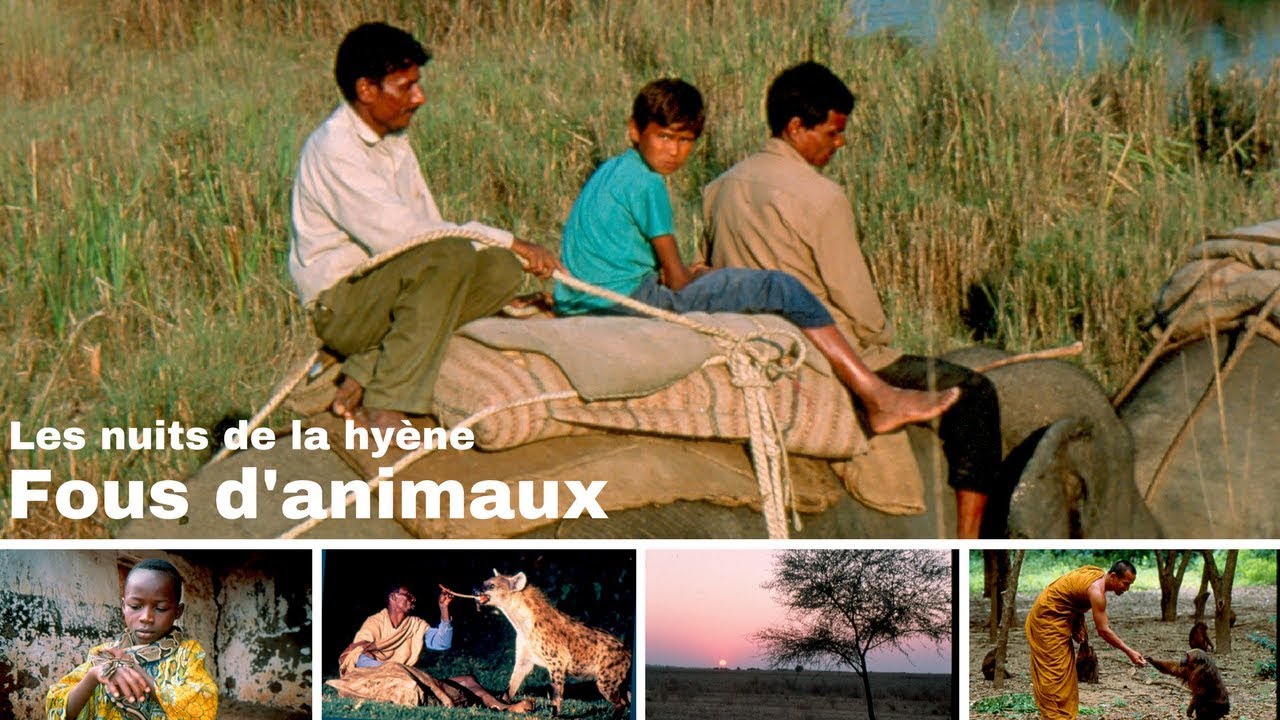 L'enfant cornac - Népal - le guide de l'éléphant - Fous d'animaux