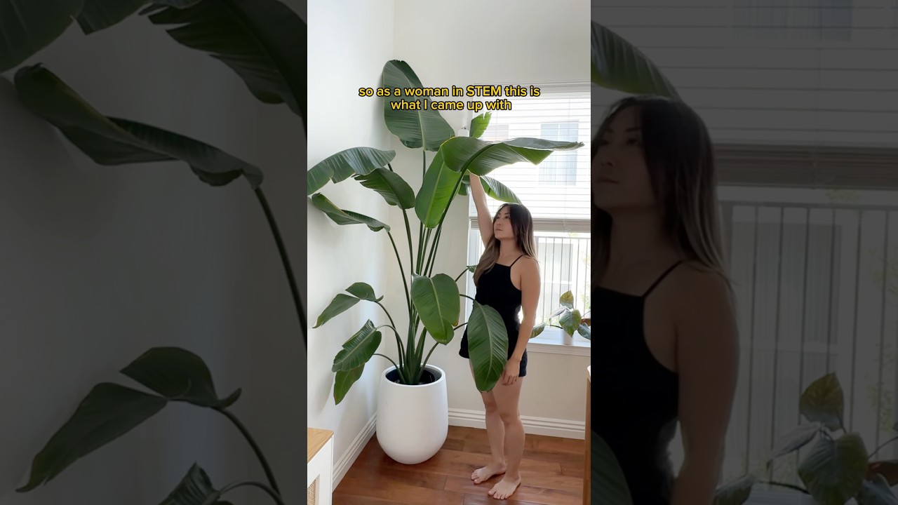 How I Solve HUMIDITY problems #shorts #plants #houseplants #indoorplants #humidifier #womeninstem