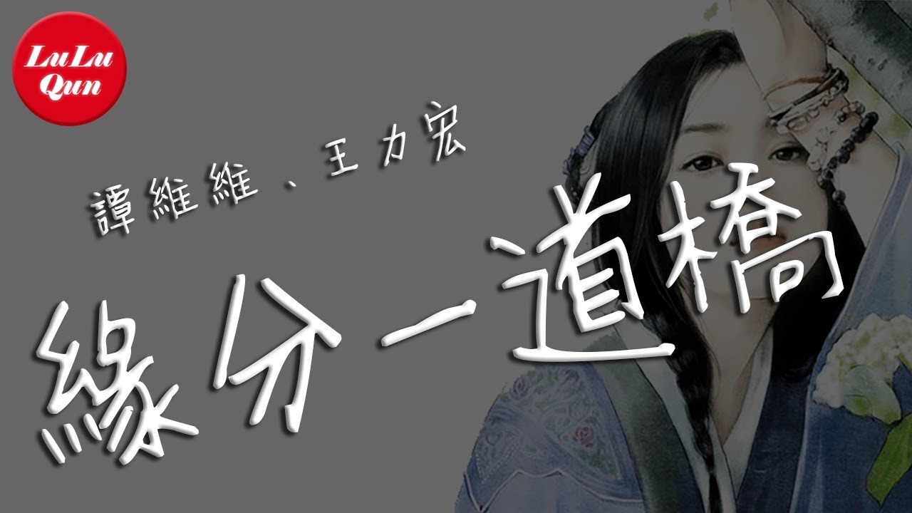 抖音《緣分一道橋》譚維維、王力宏【動態歌詞Lyrics】