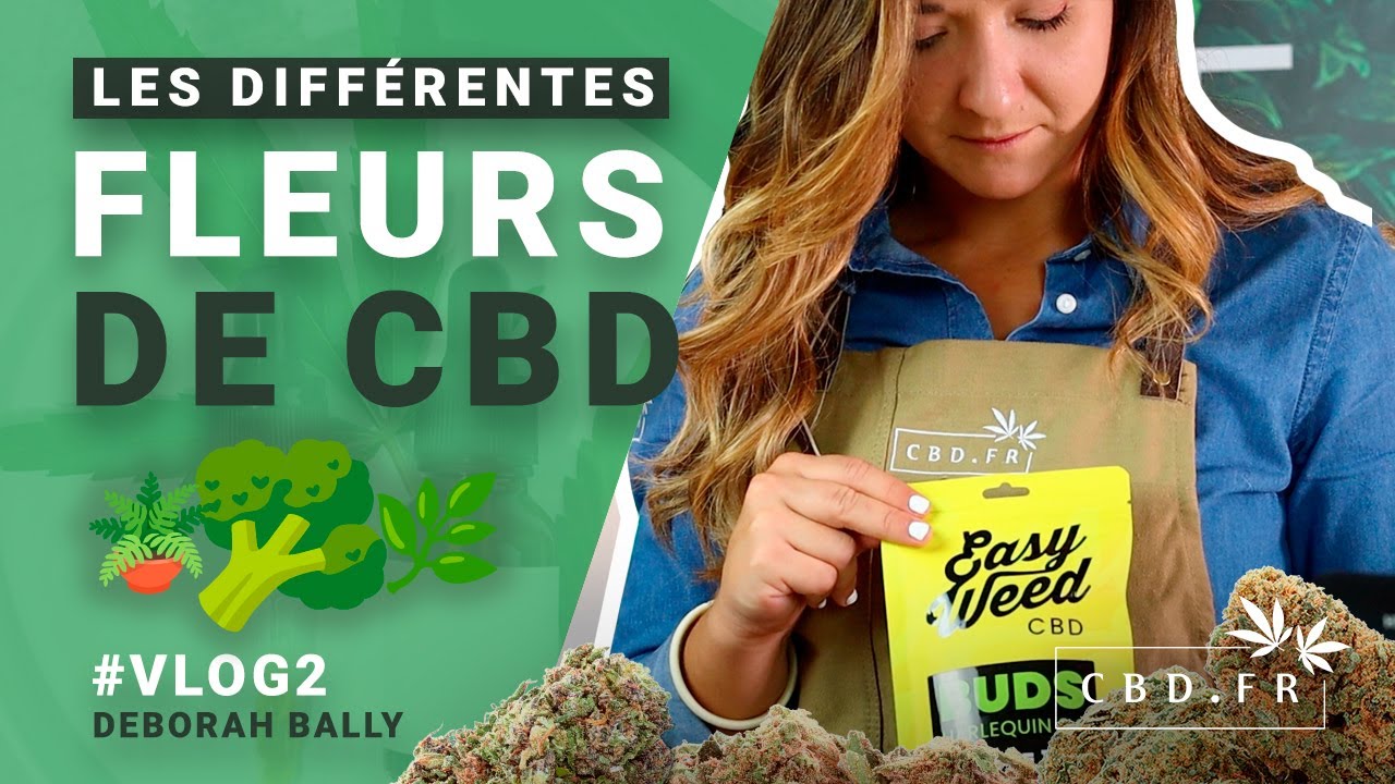 D&eacute;couvrez les formes les plus fascinantes des fleurs de #CBD 🌿