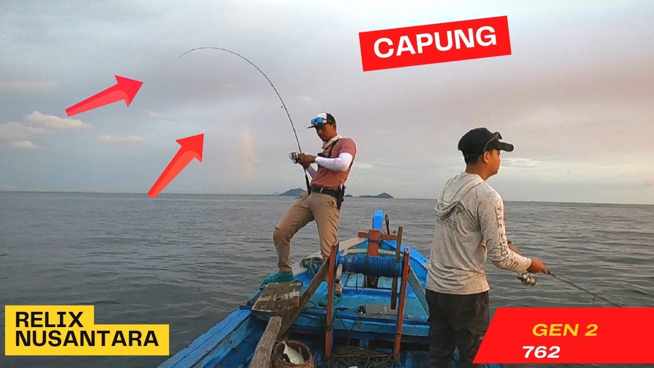 CAPUNG SPIDER BLUE 762 MELENGKUNG TAJAM ‼️DITARIK BABON SAK BANTAL