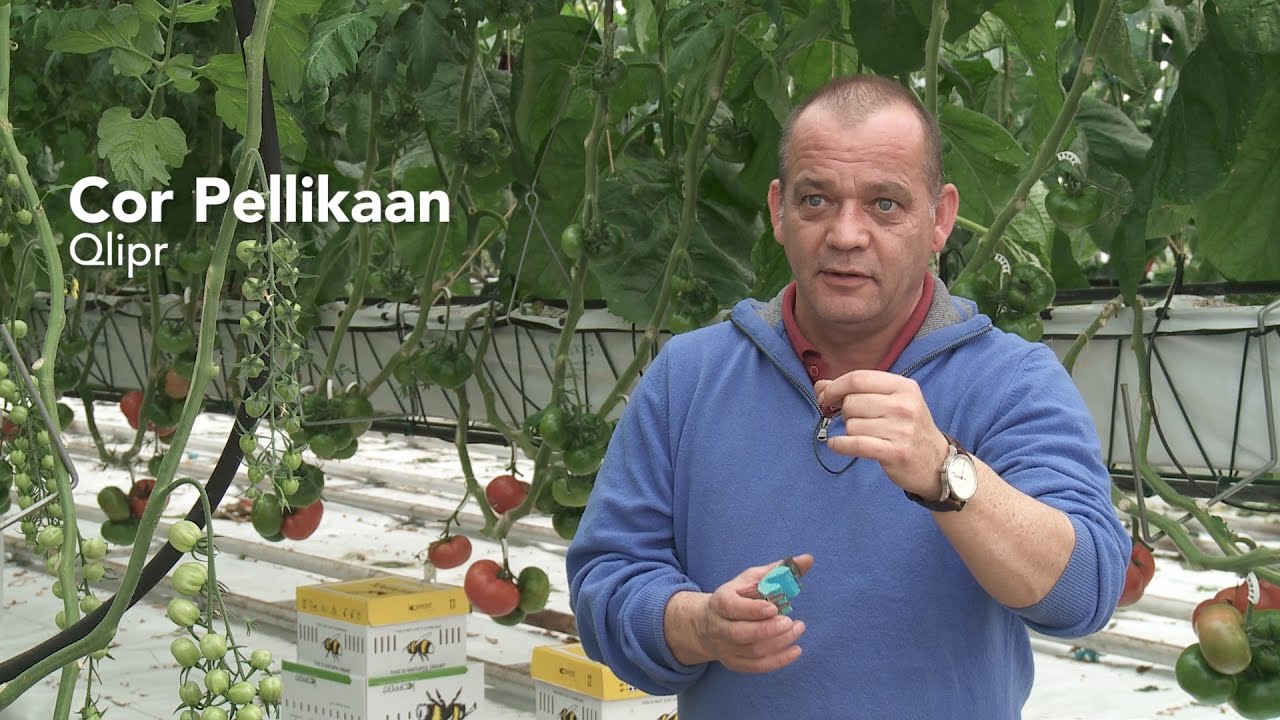 Cor Pellikaan over de voordelen van het Qlipr-systeem