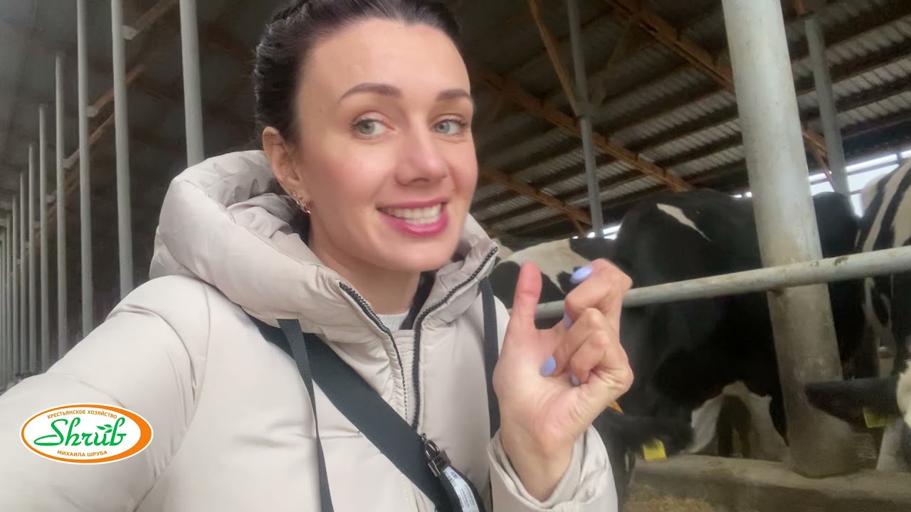 На что сделали ставку? Секрет успеха в молочном скотоводстве.