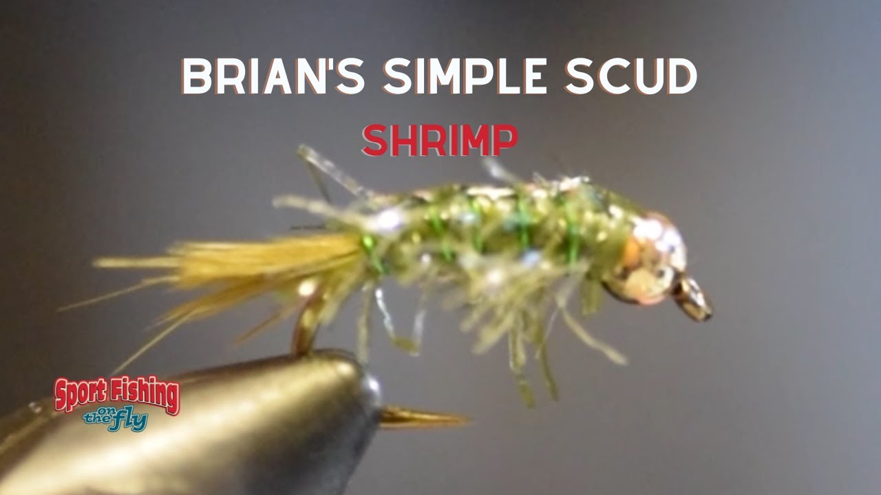 FLY TYING: BRIAN'S SIMPLE SCUD