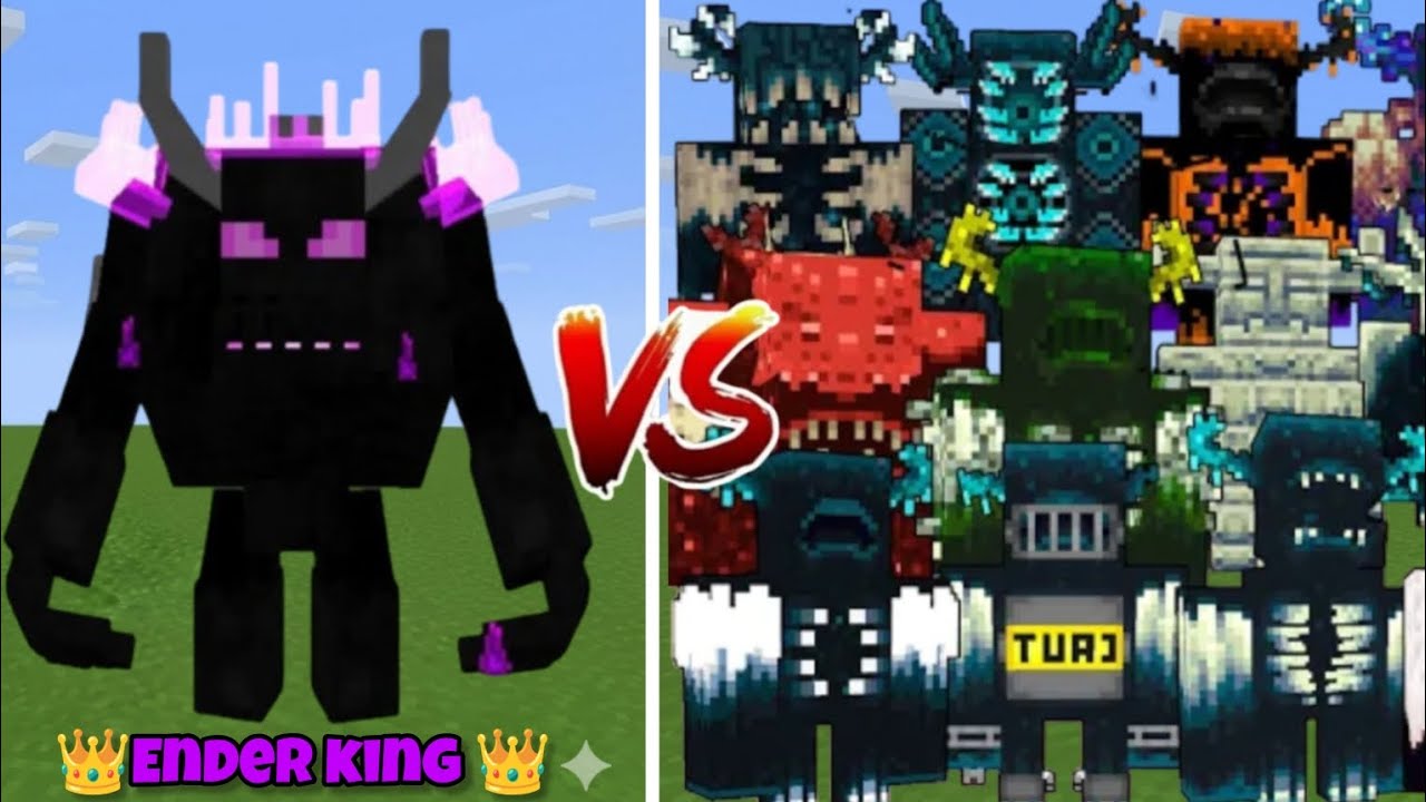 ENDER KING VS ALL WARDEN !!
