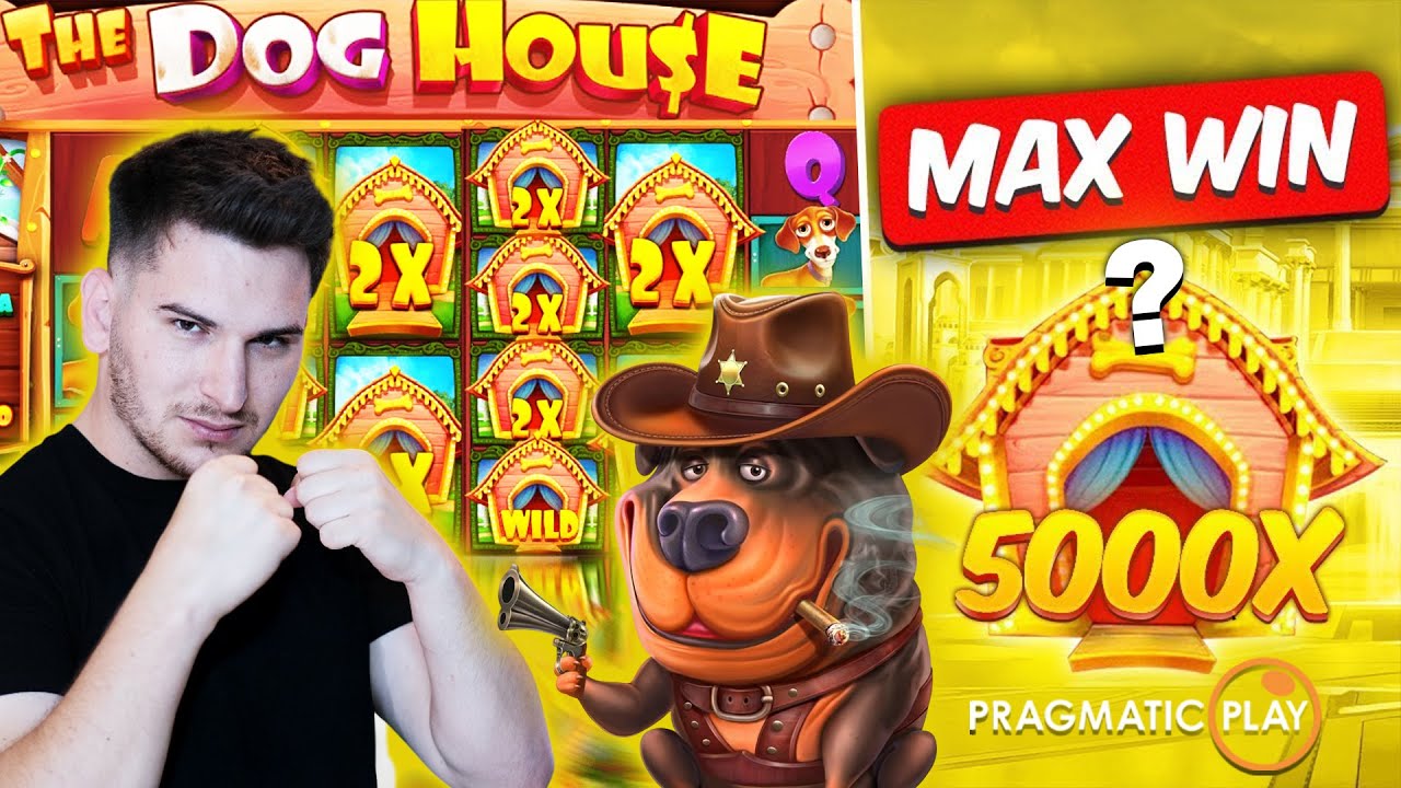 NE-A DUS IN PESTE 200 MILIOANE BALANTA DOG HOUSE 💥#pragmaticplay