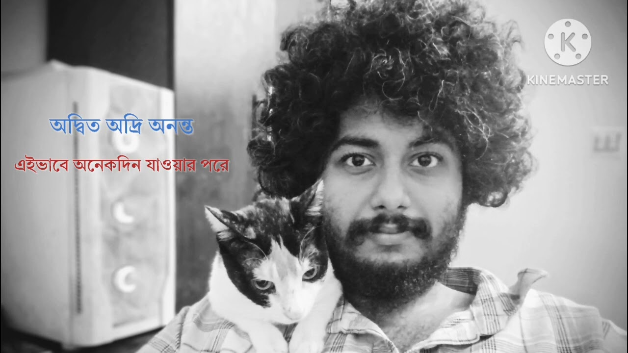এইভাবে অনেকদিন যাওয়ার পরে| অদ্বিত অদ্রি অনন্ত | বাংলা কবিতা 
