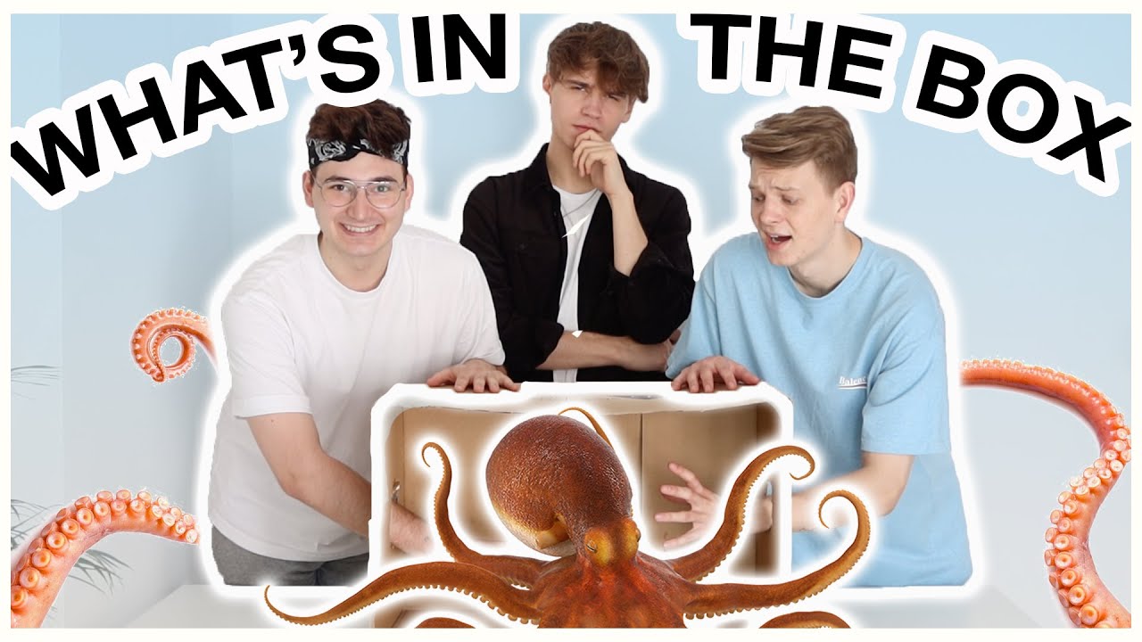 ŻYWA OŚMIORNICA? 😱 | CO JEST W PUDEŁKU CHALLENGE 🤯 | THE BLAZE HOUSE🔥