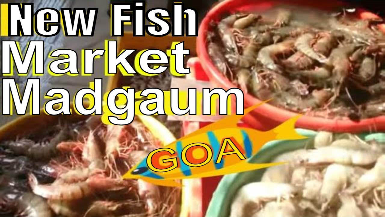 Margao fish market in Goa India | Madgaum fish market new  in Goa