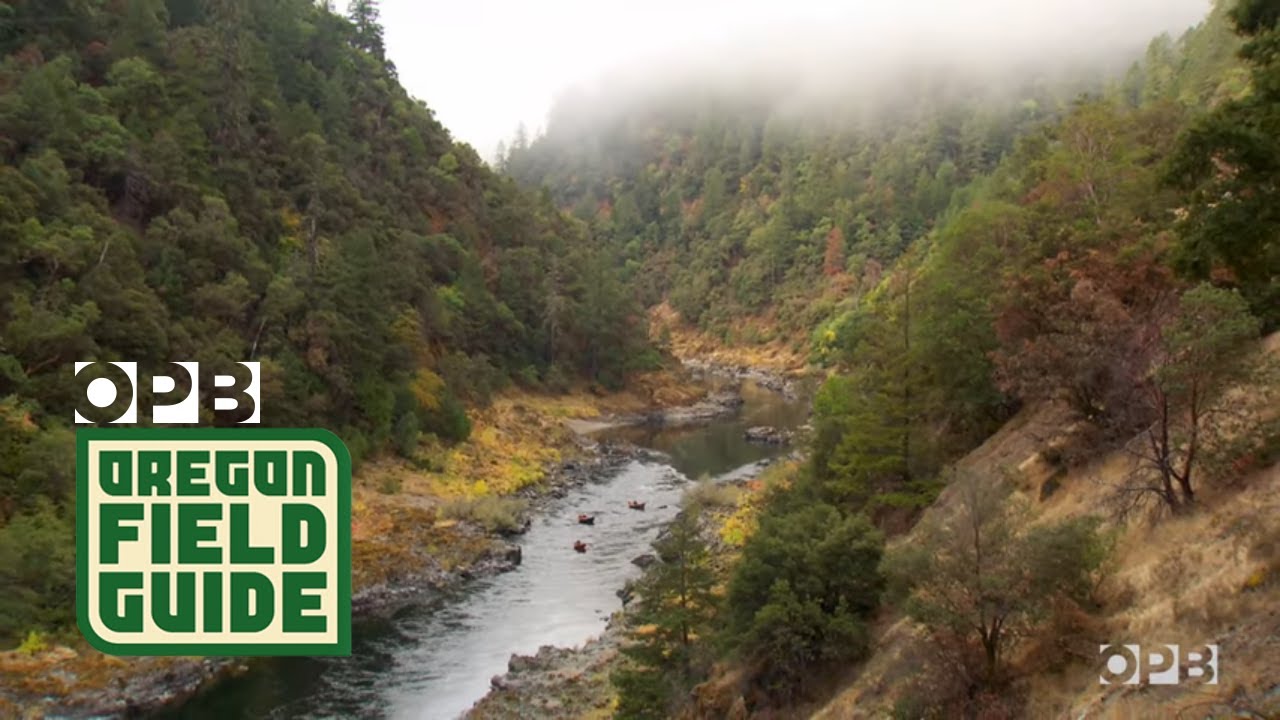 Running a Wild Oregon River In A Wooden Drift Boat