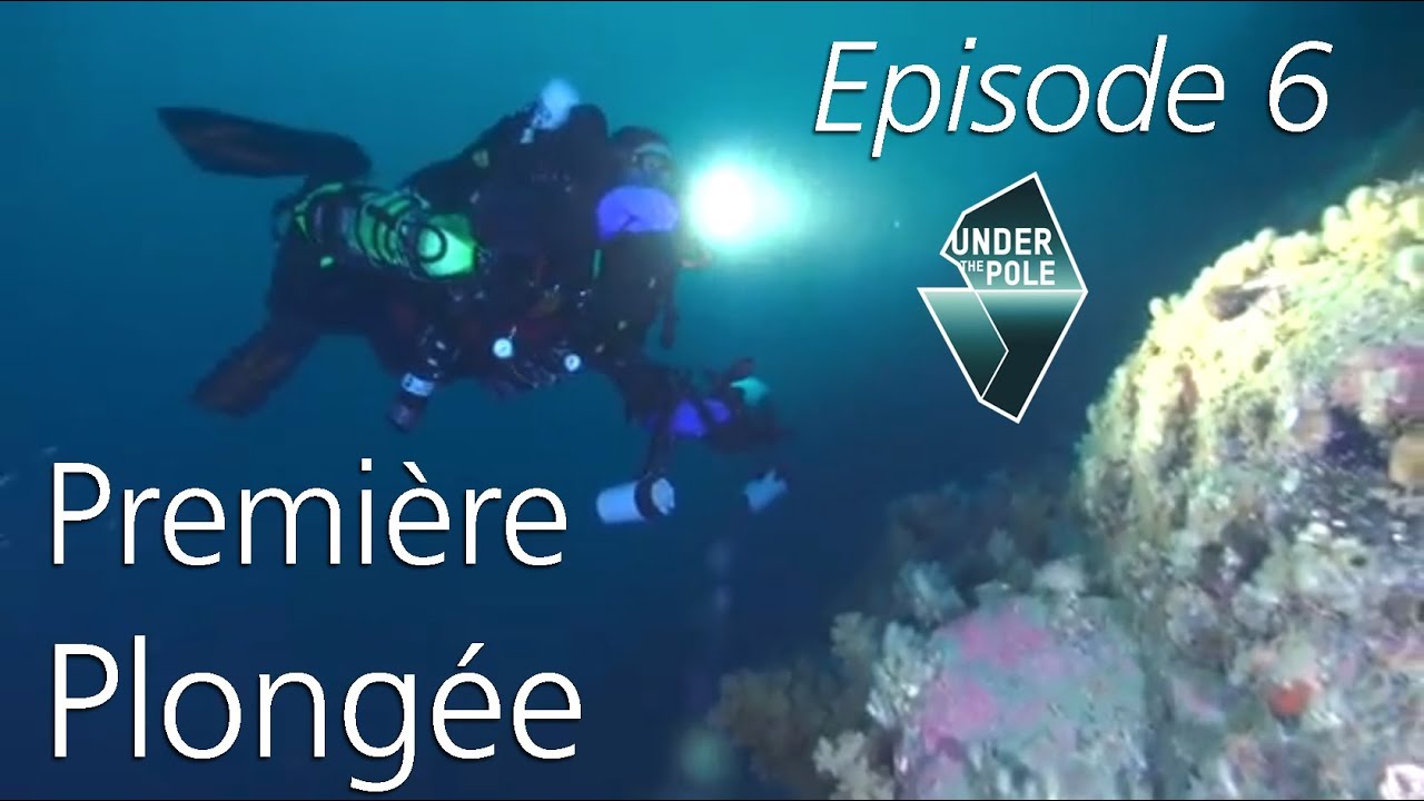 UNDER THE POLE II • S01E06 • Discovery Greenland • Première Plongée