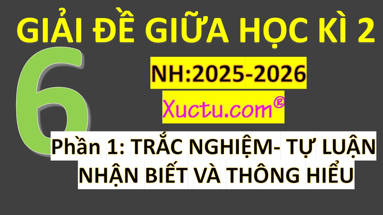 Giải Đề Kiểm Tra Giữa Học Kì 2- Toán 6- Mới Nhất- Phần 1: Trắc Nghiệm- Tự Luận Căn Bản