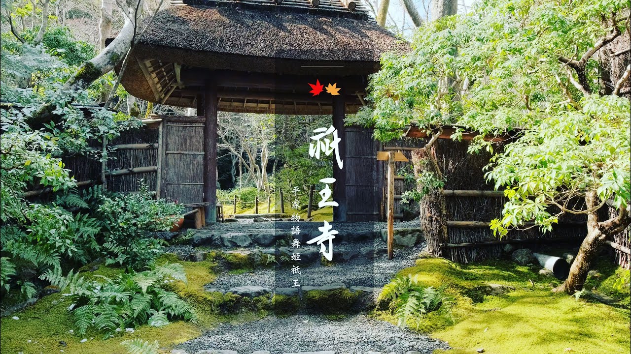 【京都祇王寺】京都最幽玄質樸的草庵｜平清盛寵愛的舞姬祇王修行道場｜京都悲情尼姑庵