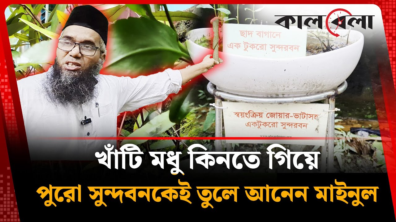 খাঁটি মধু কিনতে গিয়ে পুরো সুন্দবনকেই তুলে আনেন মাইনুল আনোয়ার | Sundarban | Chittagong | Kalbela