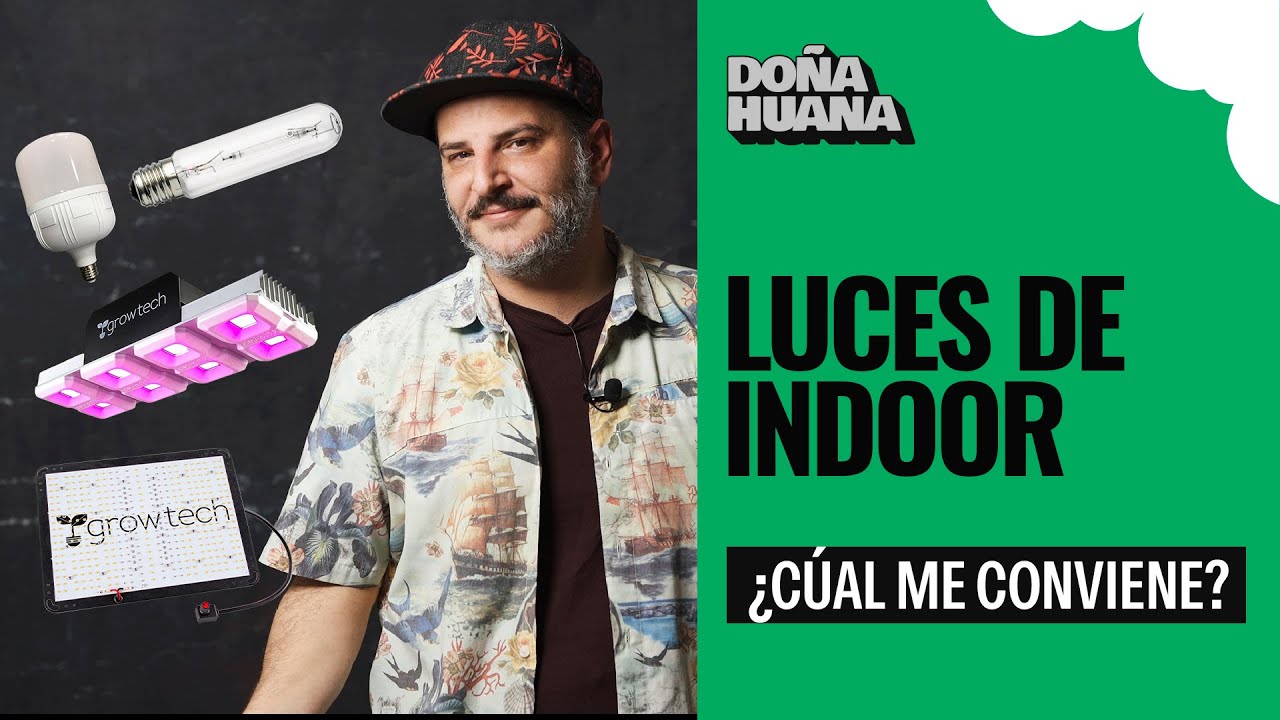LUCES DE INDOOR - ¿CÚAL ME CONVIENE? - SIMPLE Y RAPIDO