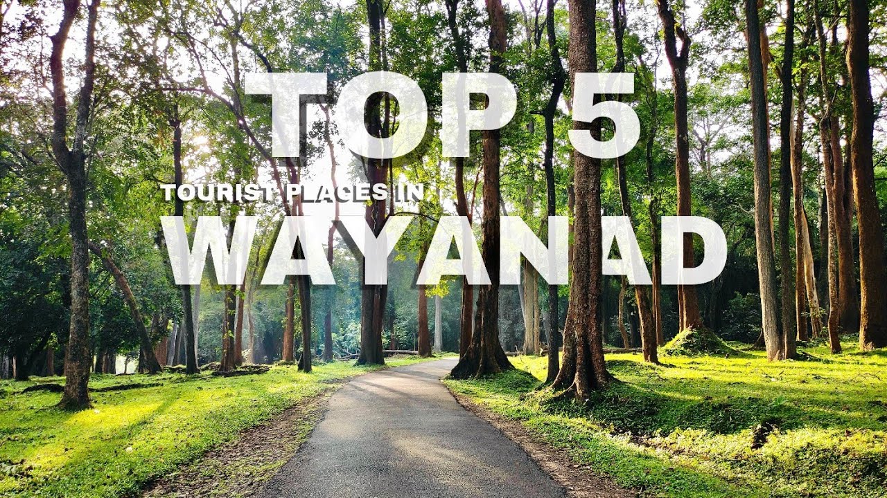 Wayanad tourist places | Top 5 | Must visit places in Wayanad | India🇮🇳