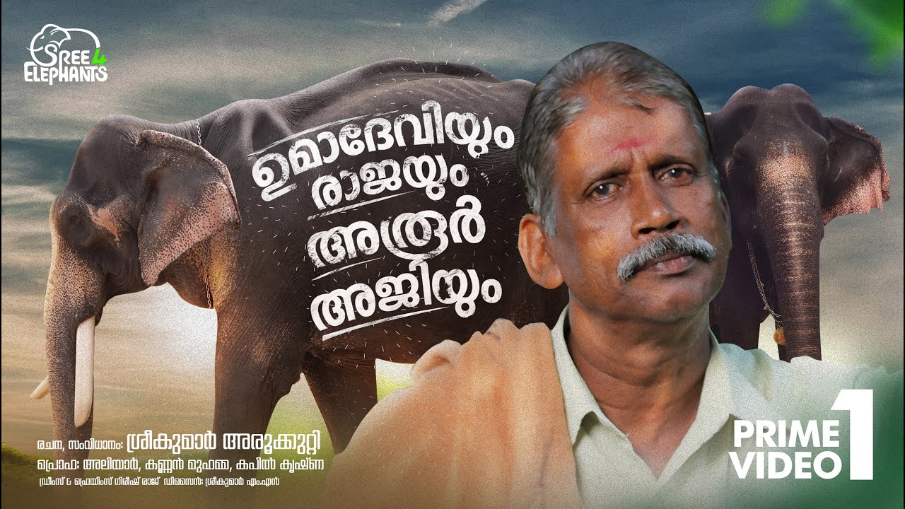 തങ്കപ്പനെ കിട്ടിയില്ല ..ആ കലിപ്പിന് ഓടി വന്ന് കടിച്ചു പൊക്കിയത് എന്നെ..!