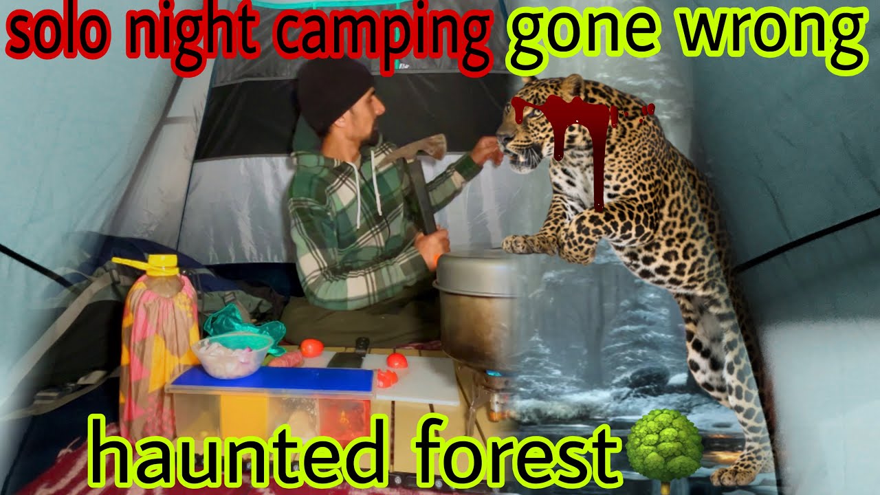 Bear attack 🐻 Solo night camping in dangerous forest animal attack jungle | Camping in india #bear 