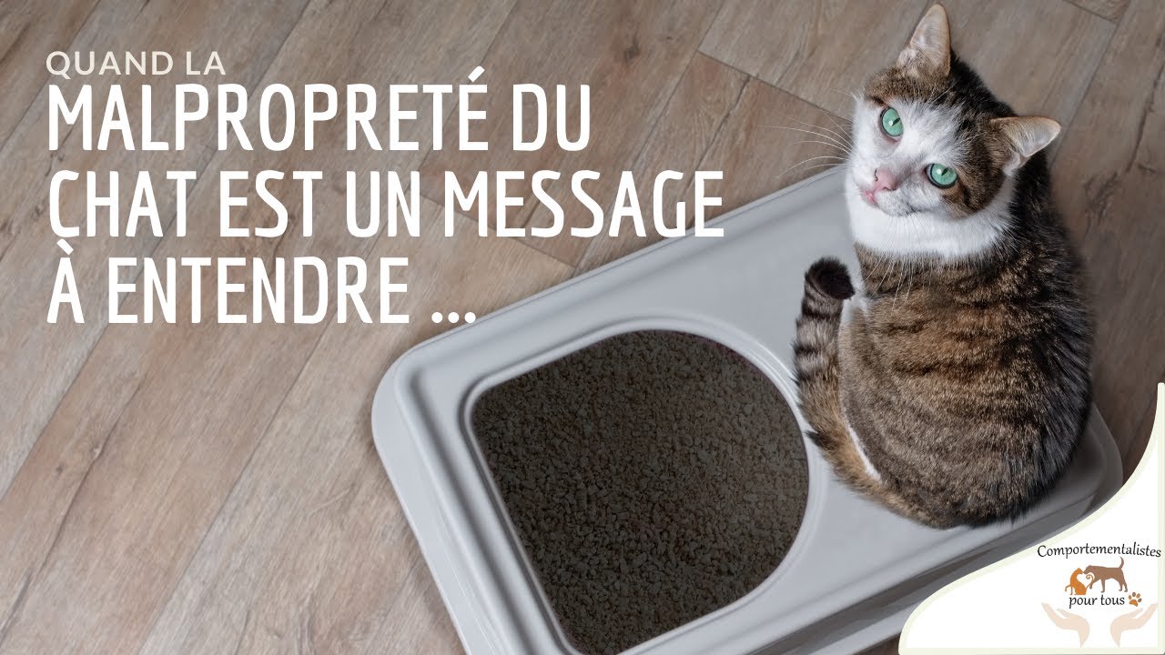 Conférence : Quand la malpropreté du chat est un message à entendre ...