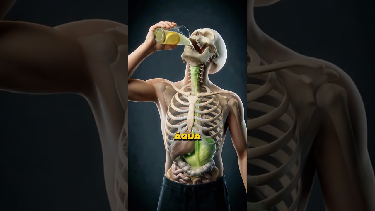 &Aacute;gua com lim&atilde;o em jejum faz isso no seu corpo 👀  #saude  #curiosidades #agua #bemestar