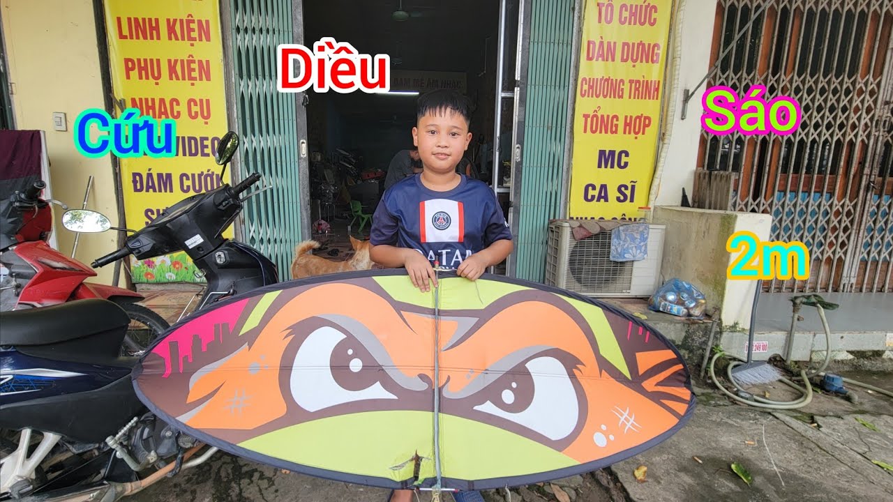 Cứu diều sáo đuôi cá 2m/Bo thích diều