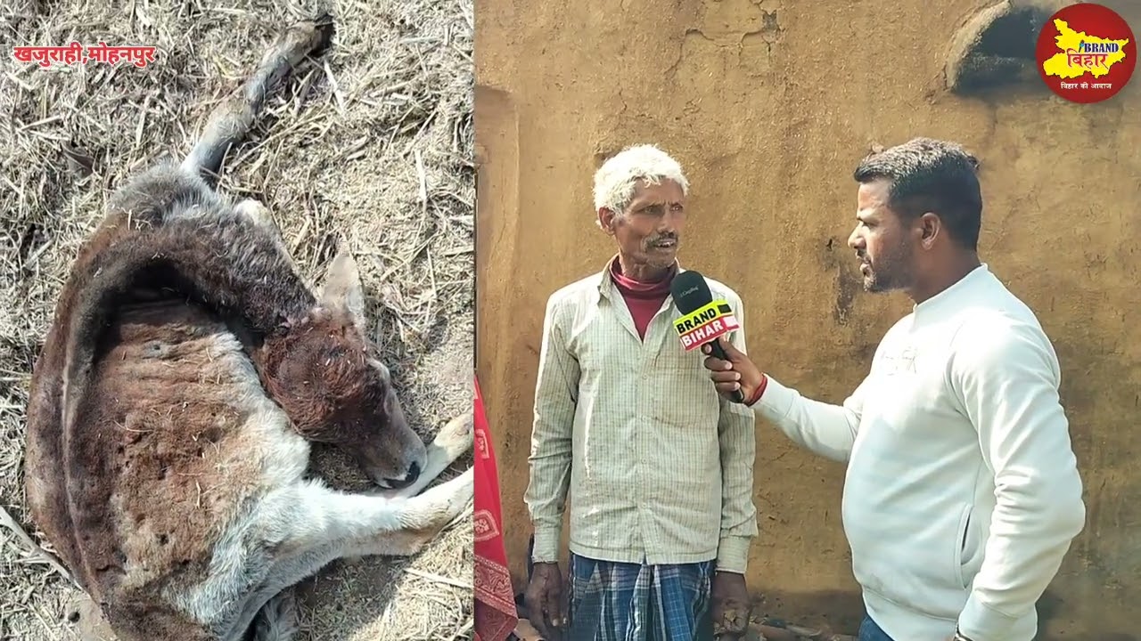 यादव जी के घर को फूंक दिया गया ? गौ माता की जलकर हुई ह*त्या,धू-धू कर जला पूरा घर,लाखों का हुआ नुकसान