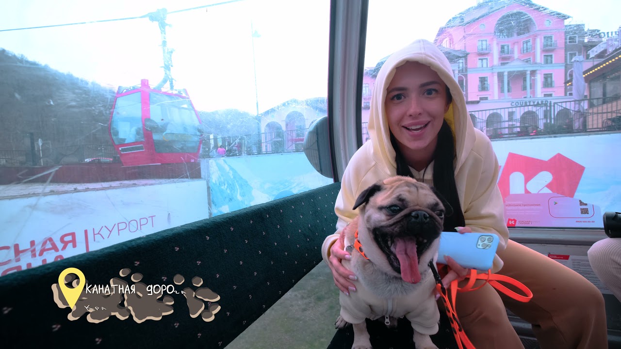 HOOOTDOGS VLOGS #2 - В Сочи с Оскаром и Джони // Сноуборд // Скайпарк // Летим с собаками в самолете