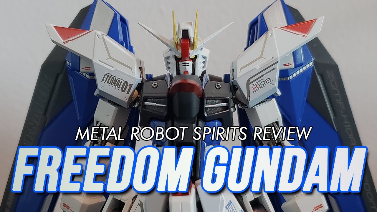 Metal Robot Spirits FREEDOM GUNDAM Review - Carl93