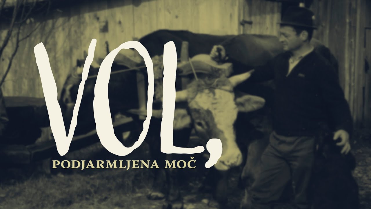 Vol, podjarmljena moč