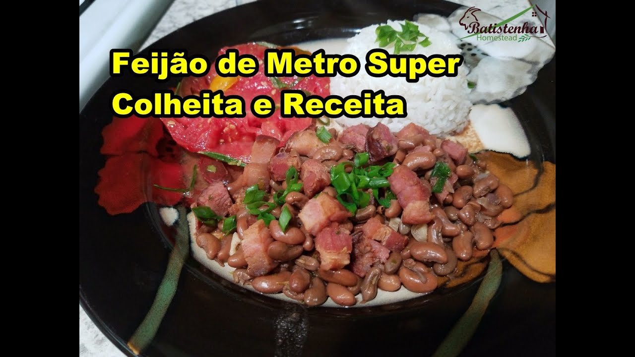 Feijão de Metro - Super Colheita e Receita / Super Noodle Beans Harvest and Recipe
