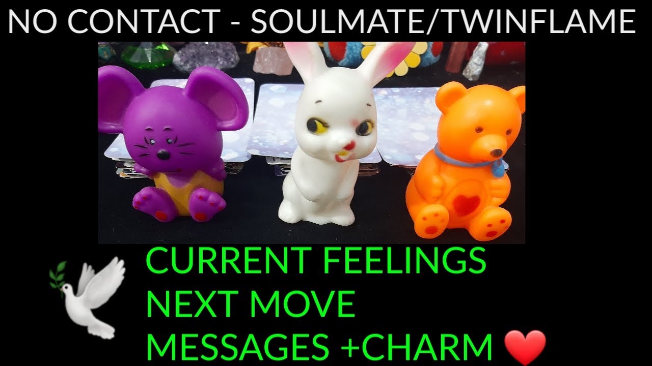 NO CONTACT - THEIR CURRENT FEELINGS FOR U/NEXT MOVE/WHAT IS NEXT 🌞 MSG 💌 +CHARM ❤️ (TIMELESS)