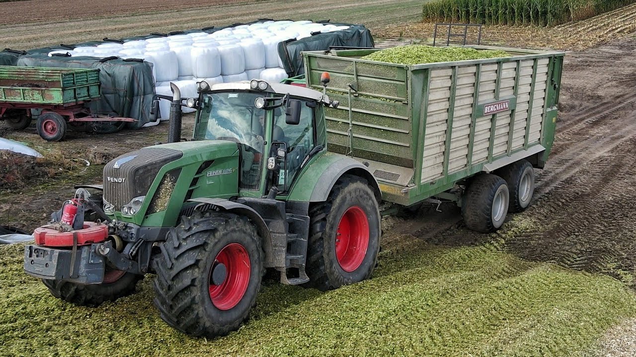 KISZONKA Z KUKURYDZY 2025!😍GR.GŁADKI & ROMAX
