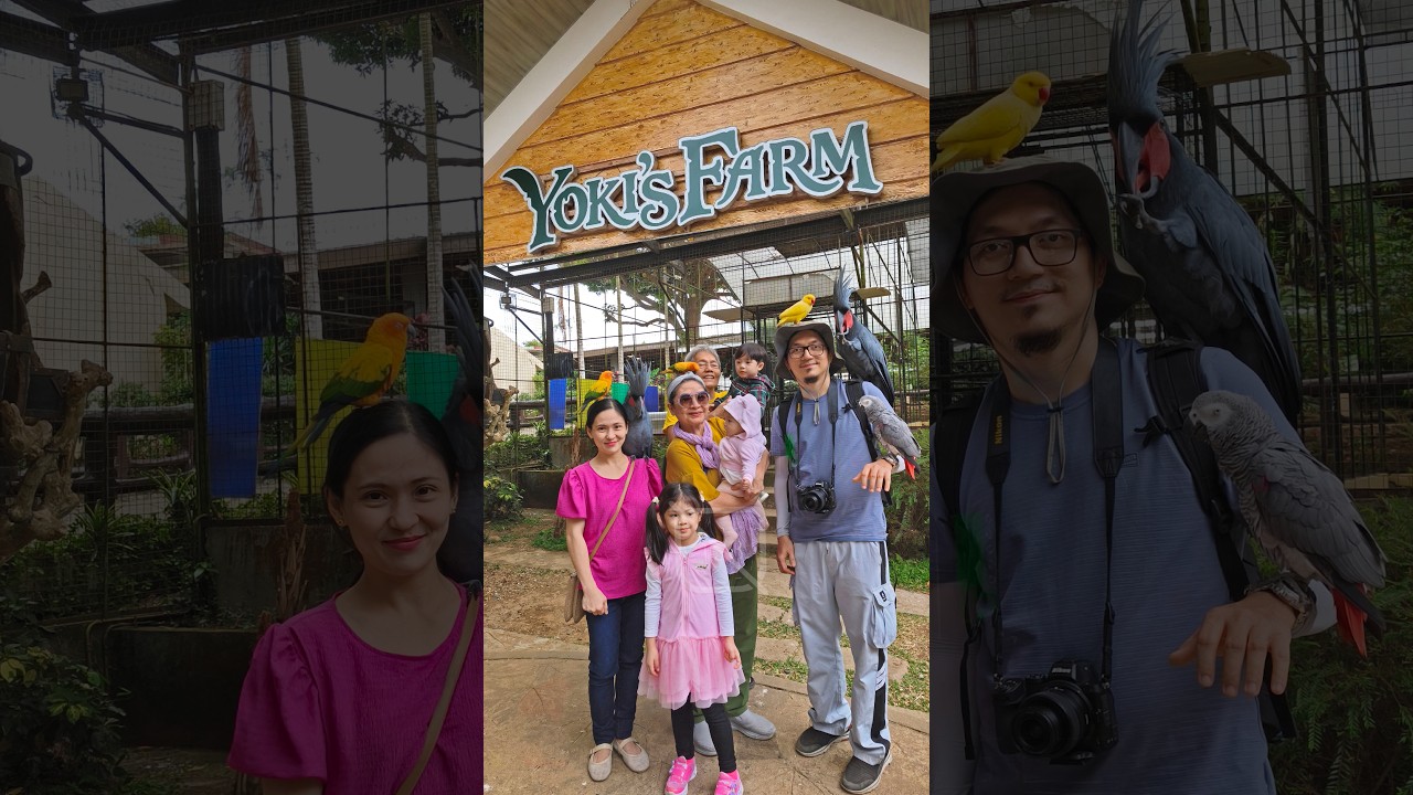 Li family visits Yoki's Farm