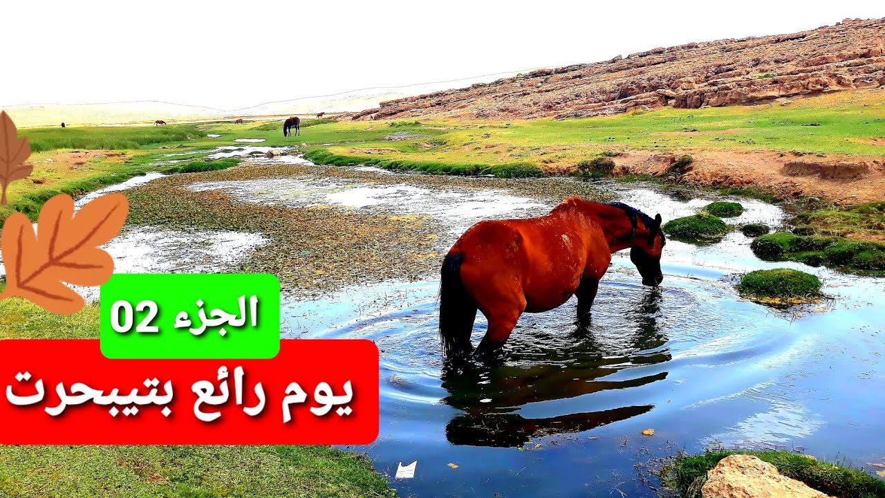 2️⃣ يوم جميل ولا أروع بين أحضان طبيعة مرعى تيبحرت مع أجمل حيواناته المحبوبة بالأطلس الكبير