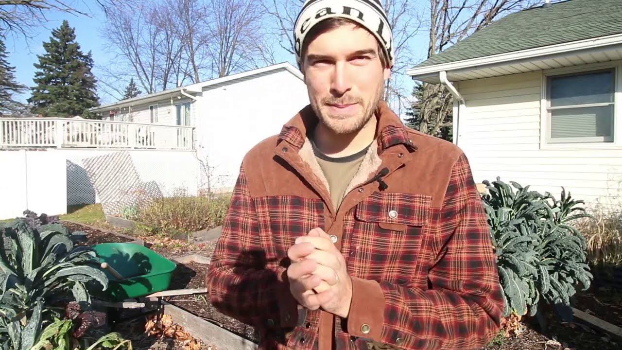 Building a Heated Raised Bed to Grow Cold Hardy Vegetables All Winter Long